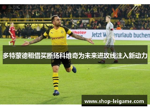 多特蒙德租借买断扬科维奇为未来进攻线注入新动力