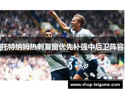 托特纳姆热刺夏窗优先补强中后卫阵容 托特纳姆热刺夏窗优先补强中后卫阵容