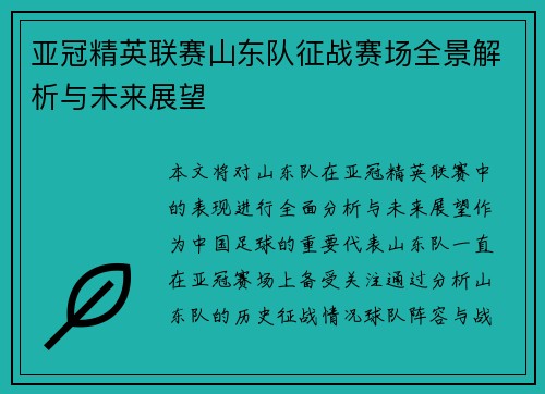 亚冠精英联赛山东队征战赛场全景解析与未来展望
